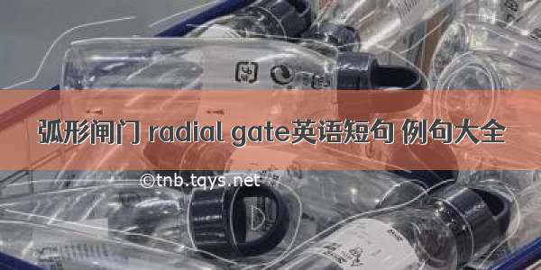 弧形闸门 radial gate英语短句 例句大全