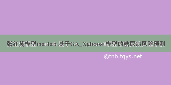 张红英模型matlab 基于GA_Xgboost模型的糖尿病风险预测