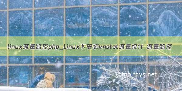 linux流量监控php_Linux下安装vnstat流量统计 流量监控