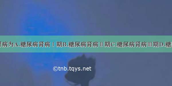 临床糖尿病肾病为A.糖尿病肾病Ⅰ期B.糖尿病肾病Ⅱ期C.糖尿病肾病Ⅲ期D.糖尿病肾病Ⅳ期