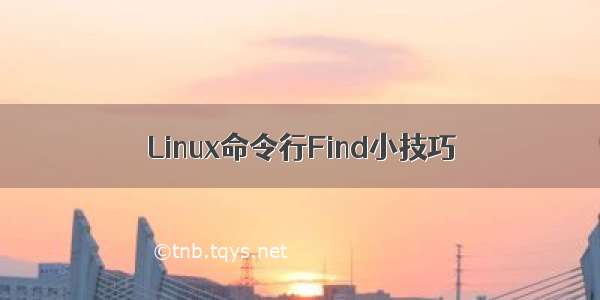 Linux命令行Find小技巧