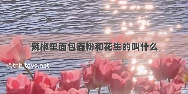 辣椒里面包面粉和花生的叫什么