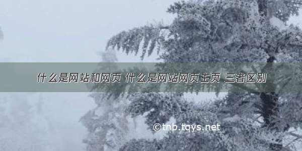 什么是网站和网页 什么是网站网页主页 三者区别