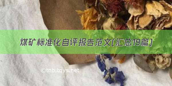 煤矿标准化自评报告范文(汇总19篇)