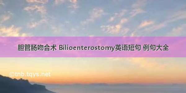 胆管肠吻合术 Bilioenterostomy英语短句 例句大全