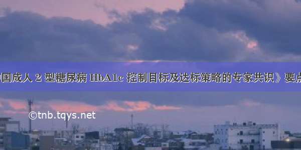 《中国成人 2 型糖尿病 HbA1c 控制目标及达标策略的专家共识》要点解析