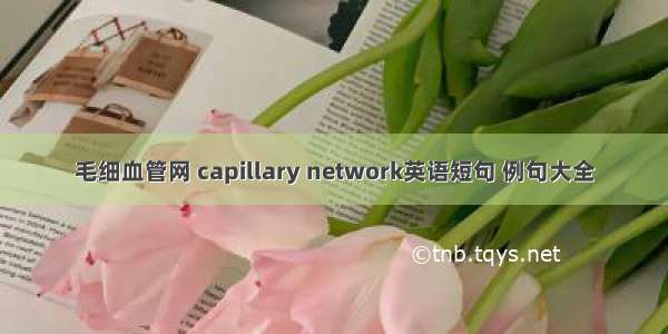 毛细血管网 capillary network英语短句 例句大全