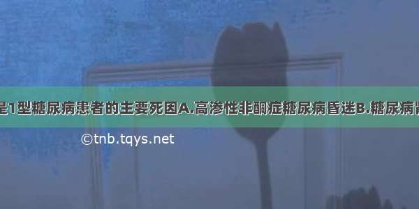 下列哪一项是1型糖尿病患者的主要死因A.高渗性非酮症糖尿病昏迷B.糖尿病肾病C.大血管