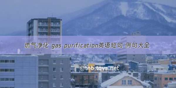 燃气净化 gas purification英语短句 例句大全