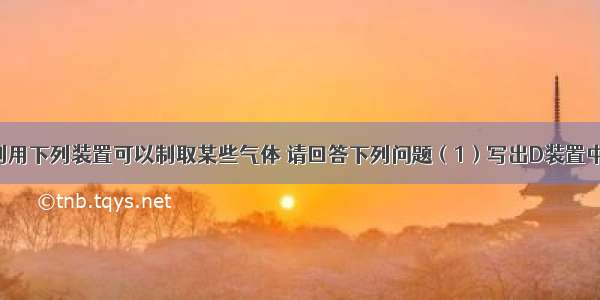 在实验室 利用下列装置可以制取某些气体 请回答下列问题（1）写出D装置中a仪器的名