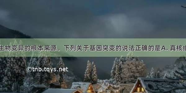 基因突变是生物变异的根本来源。下列关于基因突变的说法正确的是A. 真核细胞基因非编