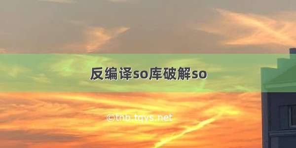 反编译so库破解so