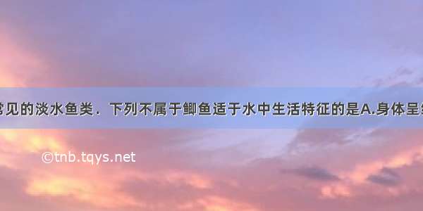 鲫鱼是一种常见的淡水鱼类．下列不属于鲫鱼适于水中生活特征的是A.身体呈纺锤形B.鳞片