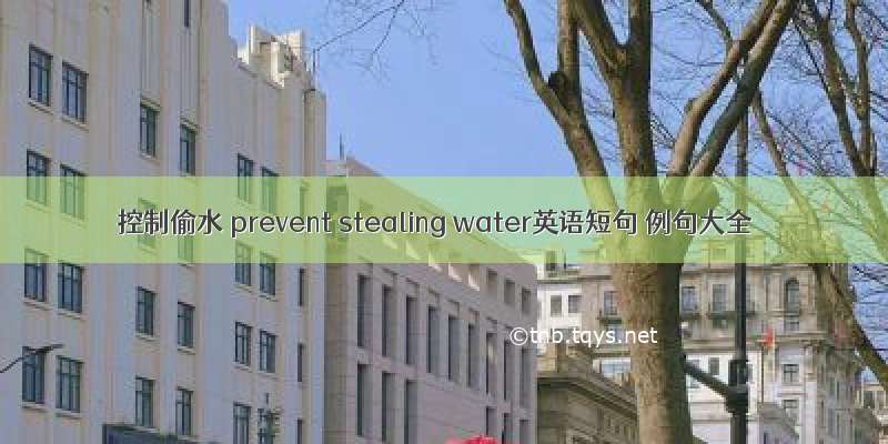 控制偷水 prevent stealing water英语短句 例句大全