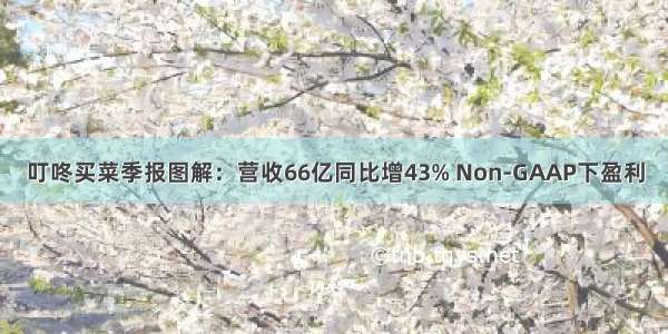 叮咚买菜季报图解：营收66亿同比增43% Non-GAAP下盈利