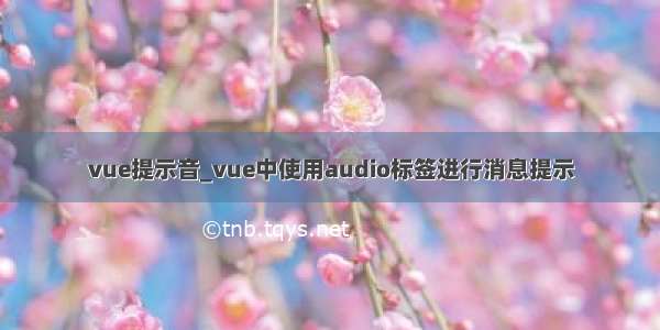 vue提示音_vue中使用audio标签进行消息提示