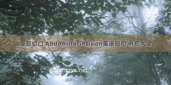 腹部切口 Abdominal incision英语短句 例句大全