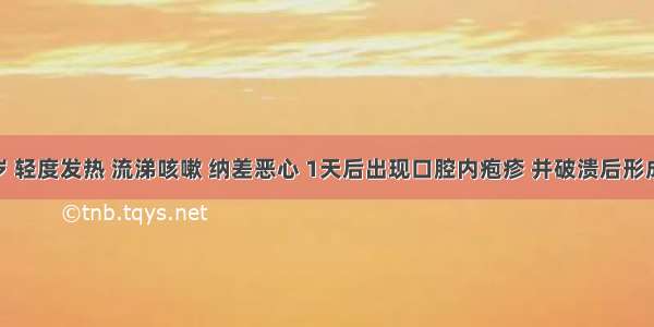 患儿 4岁 轻度发热 流涕咳嗽 纳差恶心 1天后出现口腔内疱疹 并破溃后形成小的溃