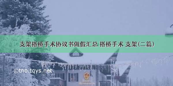 支架搭桥手术协议书做假汇总 搭桥手术 支架(二篇)