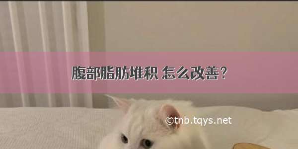 腹部脂肪堆积 怎么改善？