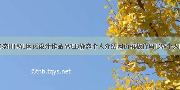 DIV简单个人静态HTML网页设计作品 WEB静态个人介绍网页模板代码 DW个人网站制作成品