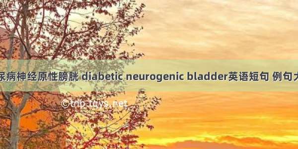 糖尿病神经原性膀胱 diabetic neurogenic bladder英语短句 例句大全