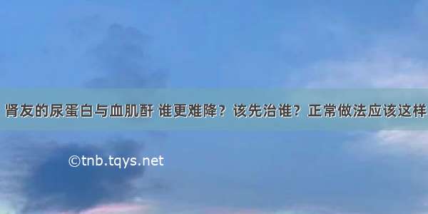 肾友的尿蛋白与血肌酐 谁更难降？该先治谁？正常做法应该这样