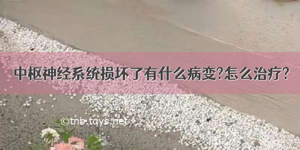 中枢神经系统损坏了有什么病变?怎么治疗?