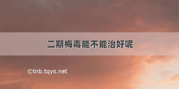 二期梅毒能不能治好呢