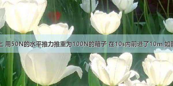 在水平地面上 用50N的水平推力推重为100N的箱子 在10s内前进了10m 如图．推箱子的