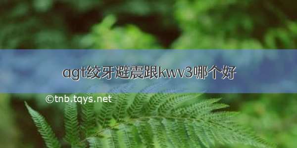 agt绞牙避震跟kwv3哪个好