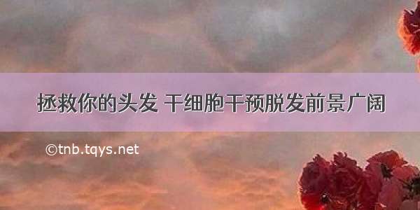 拯救你的头发 干细胞干预脱发前景广阔