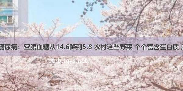 48岁屠夫糖尿病：空腹血糖从14.6降到5.8 农村这些野菜 个个富含蛋白质 治疗糖尿病