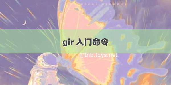 gir 入门命令