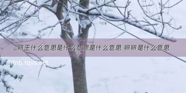 卵王什么意思是什么意思是什么意思 卵卵是什么意思