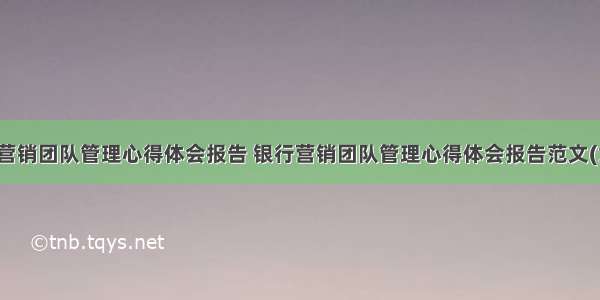 银行营销团队管理心得体会报告 银行营销团队管理心得体会报告范文(六篇)