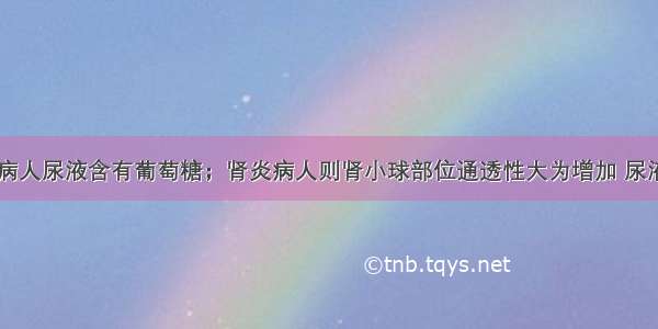 已知糖尿病病人尿液含有葡萄糖；肾炎病人则肾小球部位通透性大为增加 尿液中会有蛋白