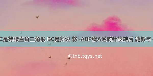 如图 △ABC是等腰直角三角形 BC是斜边 将△ABP绕A逆时针旋转后 能够与△ACP′重合