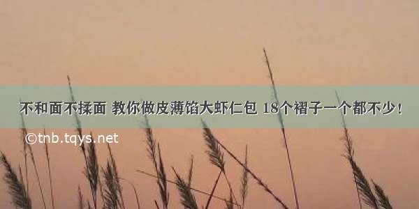 不和面不揉面 教你做皮薄馅大虾仁包 18个褶子一个都不少！