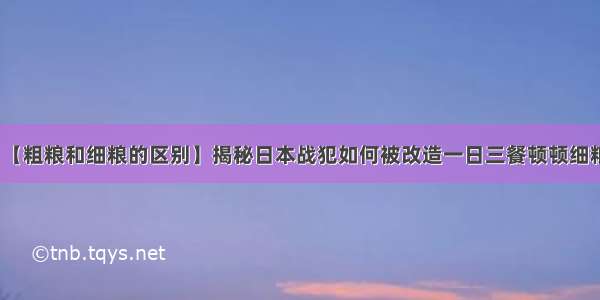 【粗粮和细粮的区别】揭秘日本战犯如何被改造一日三餐顿顿细粮