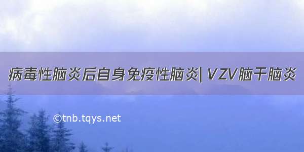 病毒性脑炎后自身免疫性脑炎| VZV脑干脑炎