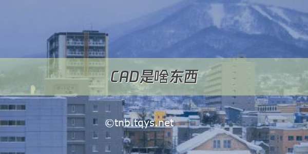 CAD是啥东西