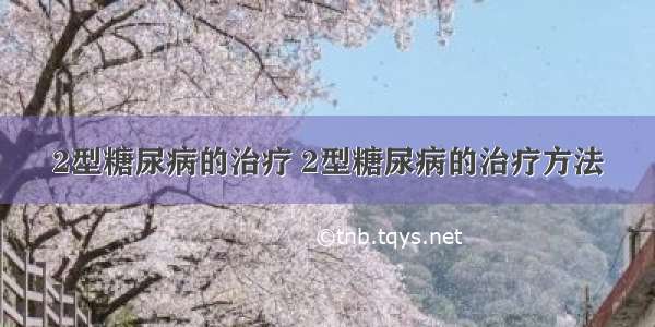 2型糖尿病的治疗 2型糖尿病的治疗方法