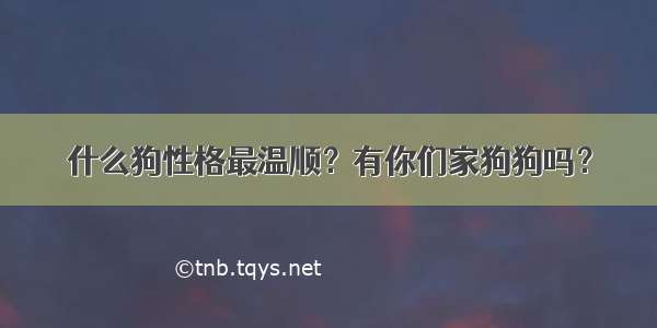 什么狗性格最温顺？有你们家狗狗吗？