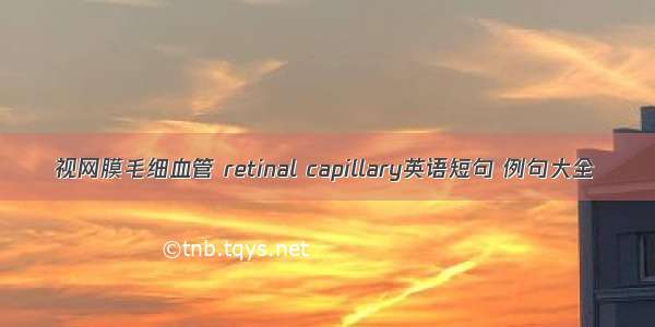 视网膜毛细血管 retinal capillary英语短句 例句大全