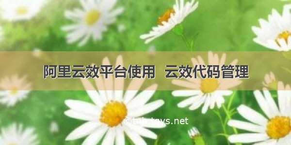 阿里云效平台使用  云效代码管理