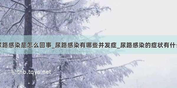 尿路感染是怎么回事_尿路感染有哪些并发症_尿路感染的症状有什么