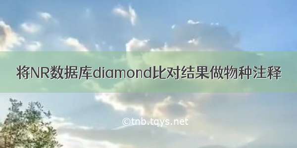 将NR数据库diamond比对结果做物种注释