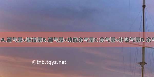 肺总容量等于A.潮气量+肺活量B.潮气量+功能余气量C.余气量+补吸气量D.余气量+肺活量E.