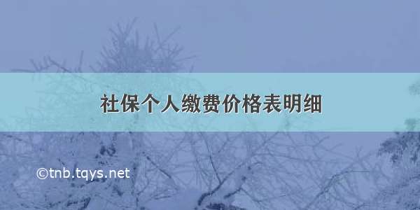 社保个人缴费价格表明细